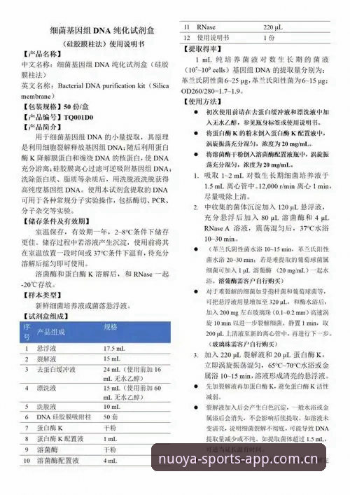 皇家社会引援解析：迪奥戈·莱特的技术特点与适配性评测